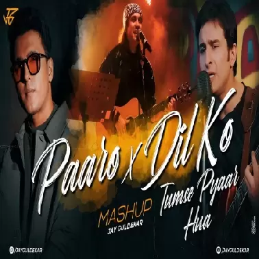 Paaro X Dil Ko Pyaar Hua Mashup 2025